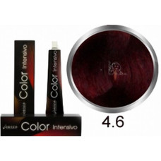 Carin Color Intensivo №4/6 100мл.
