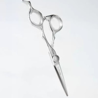 Ножиці для стрижки Sway Infinite 5.5 11010355